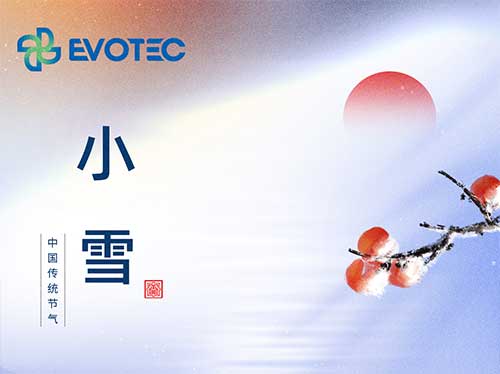 小雪 | 沖風(fēng)吹拂毳裘輕 薄雪悠揚朔氣清