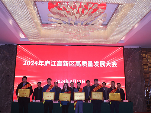 【喜報】德科電氣榮獲2023年廬江高新區(qū)企業(yè)高質(zhì)量發(fā)展一等獎！